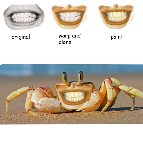 Creation of Naughty Crab: Step 1